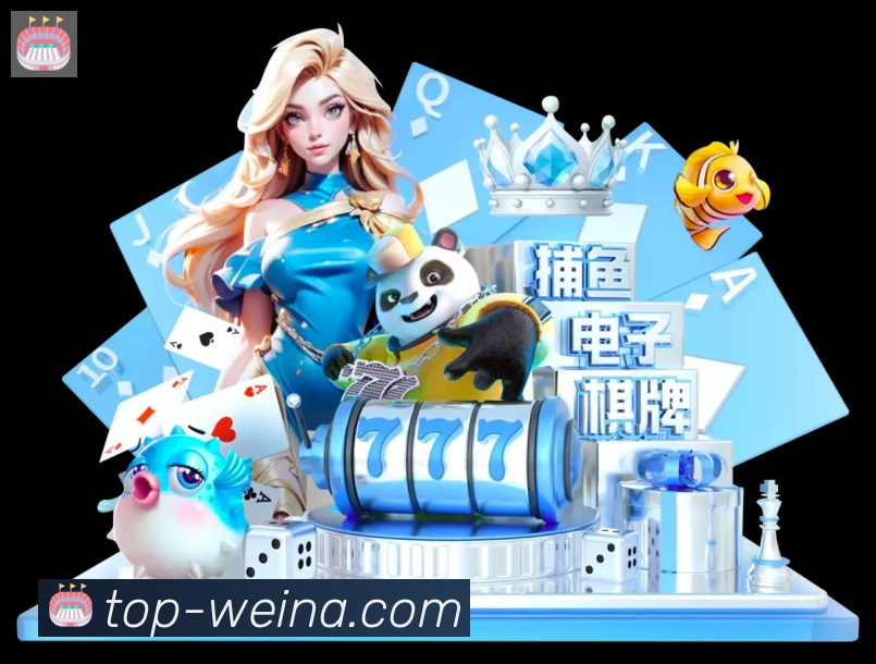 未来规划